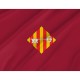 Flag of Alcira Patriotic Flags, Unique Design Print, Flags for Indoor & Outdoor Use - Imagine 2