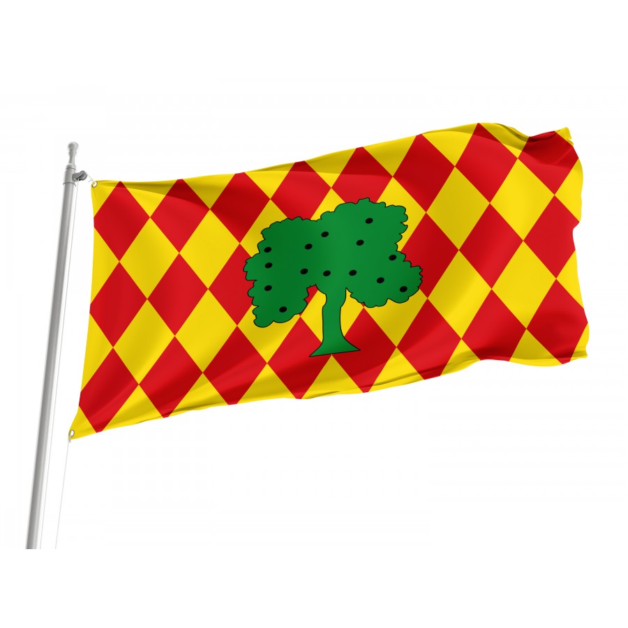 Flag Of Oliva, Patriotic Flags, Unique Design Print, Flags For Indoor & Outdoor Use - High Quality Valencia for Indoor and Outdoor Use