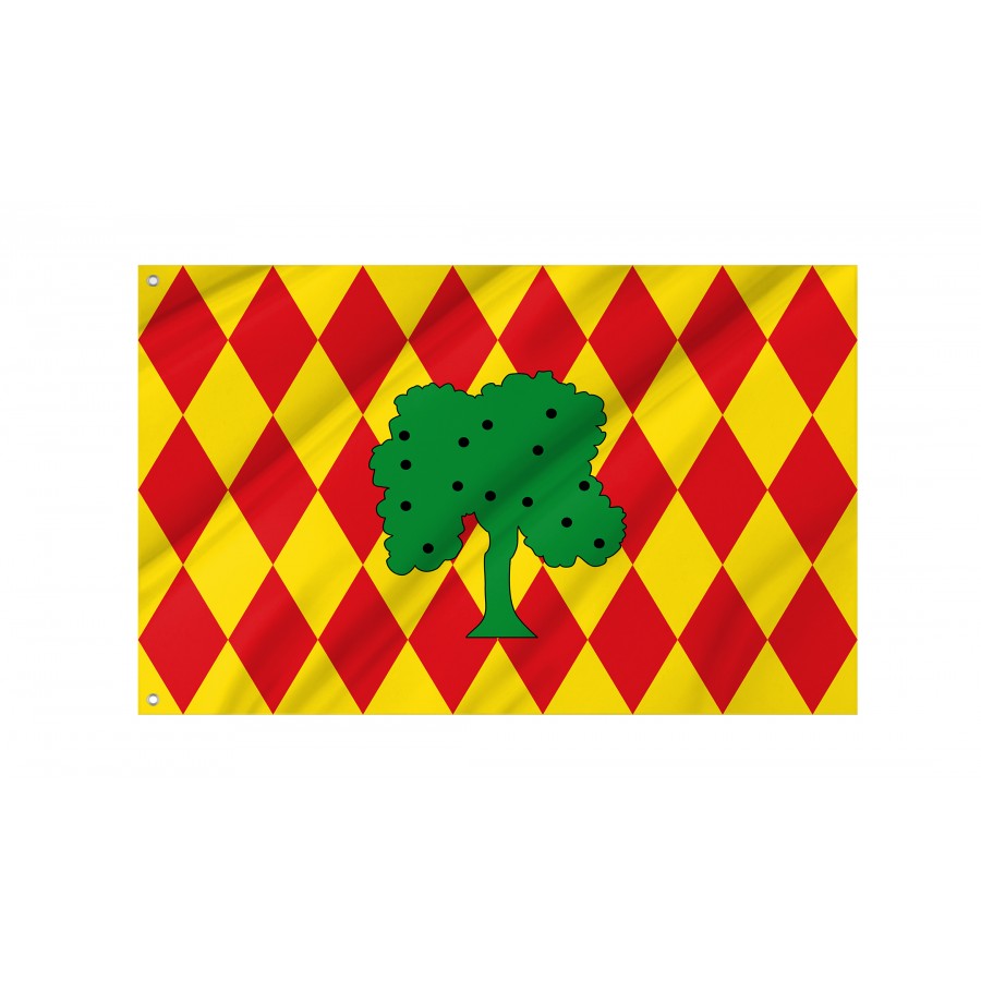 Flag Of Oliva, Patriotic Flags, Unique Design Print, Flags For Indoor & Outdoor Use - High Quality Valencia for Indoor and Outdoor Use