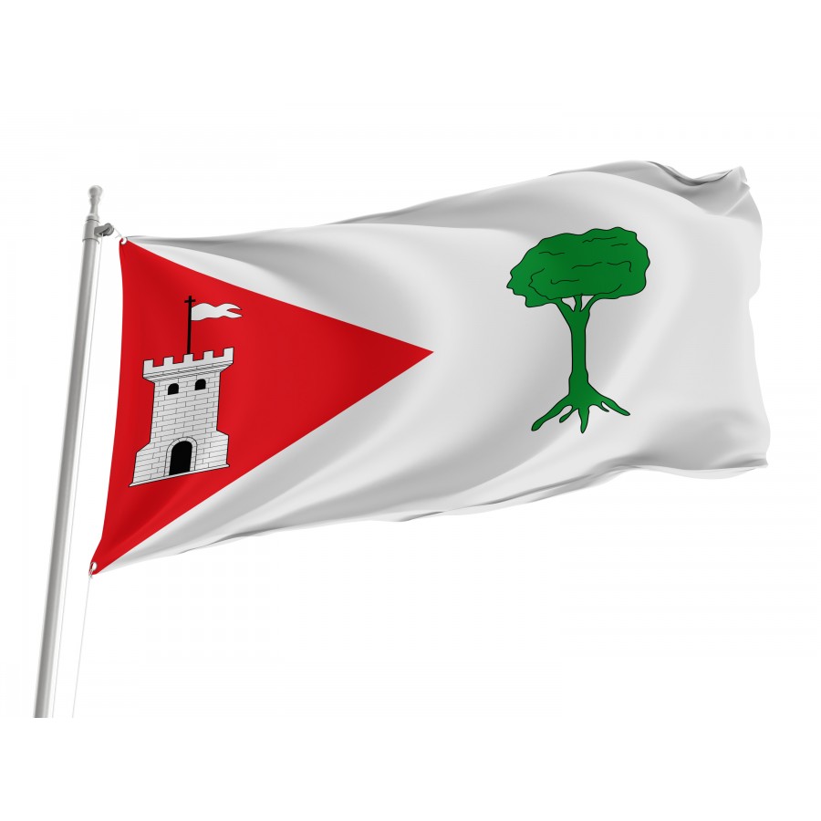 Flag Of Pinet, Patriotic Flags, Unique Design Print, Flags For Indoor & Outdoor Use - High Quality Valencia for Indoor and Outdoor Use