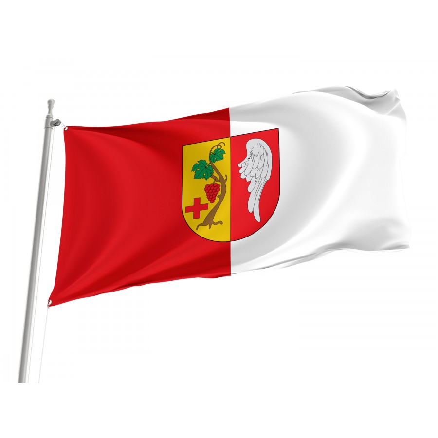 Flag Of Vinaros, Patriotic Flags, Unique Design Print, Flags For Indoor & Outdoor Use - High Quality Valencia for Indoor and Outdoor Use