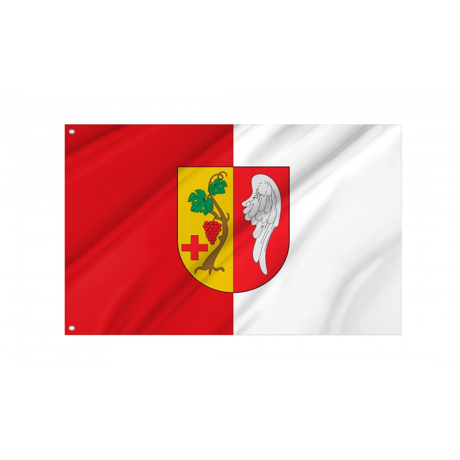 Flag Of Vinaros, Patriotic Flags, Unique Design Print, Flags For Indoor & Outdoor Use - High Quality Valencia for Indoor and Outdoor Use