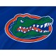 Florida Gators Flag, Unique Design Print, Flags for Indoor & Outdoor Use - Imagine 2