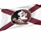 Florida State FSU Noles State of Florida Flag, Sport Flags, Unique Design Print, Flags for Indoor & Outdoor Use - Imagine 1