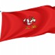 Louisville Cardinals Flag for Indoor & Outdoor Use - Imagine 1