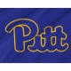 Pittsburgh Panthers Flag for Indoor & Outdoor Use - Imagine 2
