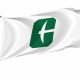 Charlotte 49ers Flag for Indoor & Outdoor Use - Imagine 1