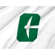 Charlotte 49ers Flag for Indoor & Outdoor Use - Imagine 2