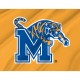 Memphis Tigers Flag for Indoor & Outdoor Use - Imagine 2