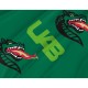 UAB Blazers Flag for Indoor & Outdoor Use - Imagine 2