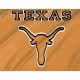 Texas Longhorns Flag for Indoor & Outdoor Use - Imagine 2