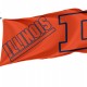 Illinois Fighting Illini Flag for Indoor & Outdoor Use - Imagine 1