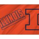 Illinois Fighting Illini Flag for Indoor & Outdoor Use - Imagine 2