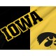 Iowa Hawkeyes Flag for Indoor & Outdoor Use - Imagine 2