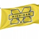 Michigan Wolverines Flag for Indoor & Outdoor Use - Imagine 1
