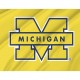 Michigan Wolverines Flag for Indoor & Outdoor Use - Imagine 2