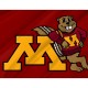 Minnesota Golden Gophers Flag for Indoor & Outdoor Use - Imagine 2