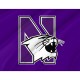 Northwestern Wildcats Flag for Indoor & Outdoor Use - Imagine 2
