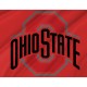 Ohio State Buckeyes Flag for Indoor & Outdoor Use - Imagine 2