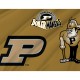 Purdue Boilermakers Flag for Indoor & Outdoor Use - Imagine 2