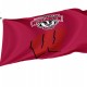 Wisconsin Badgers Flag for Indoor & Outdoor Use - Imagine 1