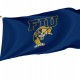 Florida International Panthers Flag for Indoor & Outdoor Use - Imagine 1