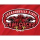 Jacksonville State Gamecocks Flag for Indoor & Outdoor Use - Imagine 2