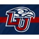 Liberty Flames Flag for Indoor & Outdoor Use - Imagine 2