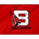 Ball State Cardinals Flag for Indoor & Outdoor Use - Imagine 2