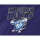 Buffalo Bulls Flag for Indoor & Outdoor Use - Imagine 2