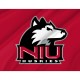 Northern Illinois Huskies Flag for Indoor & Outdoor Use - Imagine 2