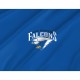 Air Force Falcons Flag for Indoor & Outdoor Use - Imagine 2