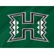 Hawai'i Rainbow Warriors Flag for Indoor & Outdoor Use - Imagine 2