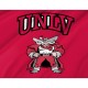 UNLV Rebels Flag for Indoor & Outdoor Use - Imagine 2