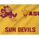Flag of Arizona State Sun Devils, Unique Design Print, Flags for Indoor & Outdoor Use - Imagine 2