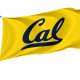 California Golden Bears Flag for Indoor & Outdoor Use - Imagine 1