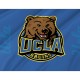UCLA Bruins Flag for Indoor & Outdoor Use - Imagine 2