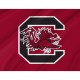 South Carolina Gamecocks Flag for Indoor & Outdoor Use - Imagine 2