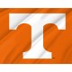Tennessee Volunteers Flag for Indoor & Outdoor Use - Imagine 2