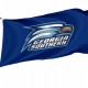 Georgia Southern Eagles Flag for Indoor & Outdoor Use - Imagine 1