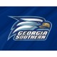 Georgia Southern Eagles Flag for Indoor & Outdoor Use - Imagine 2