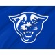 Georgia State Panthers Flag for Indoor & Outdoor Use - Imagine 2