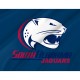South Alabama Jaguars Flag for Indoor & Outdoor Use - Imagine 1