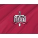 Troy Trojans Flag for Indoor & Outdoor Use - Imagine 2