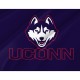 UConn Huskies Flag for Indoor & Outdoor Use - Imagine 2