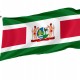 Flag of President of Suriname, Unique Design Print, Flags for Indoor & Outdoor Use - Imagine 1