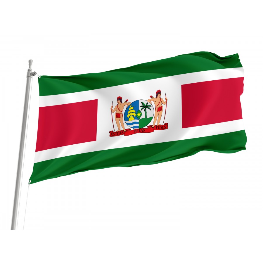 Flag of President of Suriname, Unique Design Print, Flags for Indoor & Outdoor Use