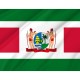 Flag of President of Suriname, Unique Design Print, Flags for Indoor & Outdoor Use - Imagine 2