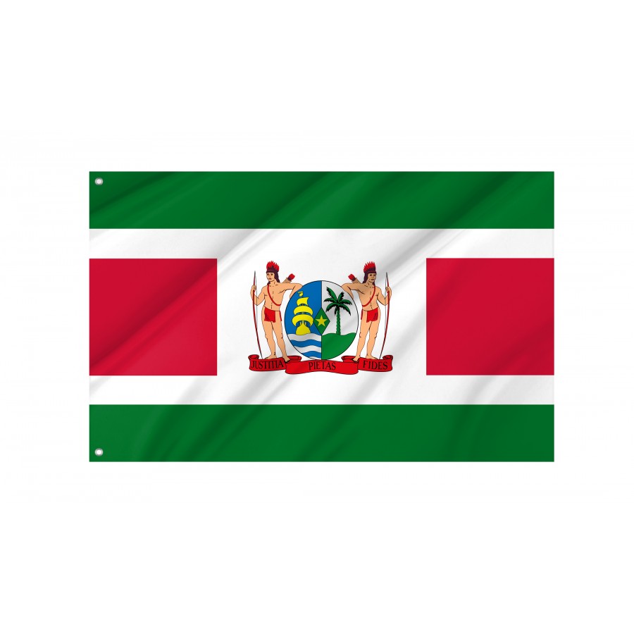 Flag of President of Suriname, Unique Design Print, Flags for Indoor & Outdoor Use