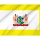 Flag of Standard of Prime Minister of Suriname, Patriotic Flags, Unique Design Print, Flags for Indoor & Outdoor Use - Imagine 2